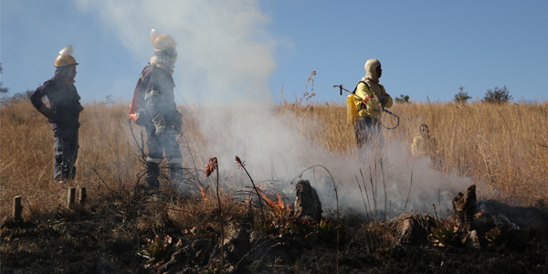 Controlled grassland burning and fire © Schalk Mouton | www.wits.ac.za/curiosity/